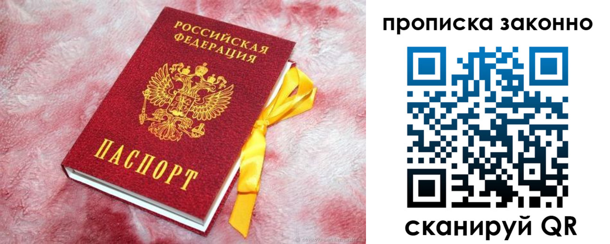 временная регистрация поиск в Апатитах